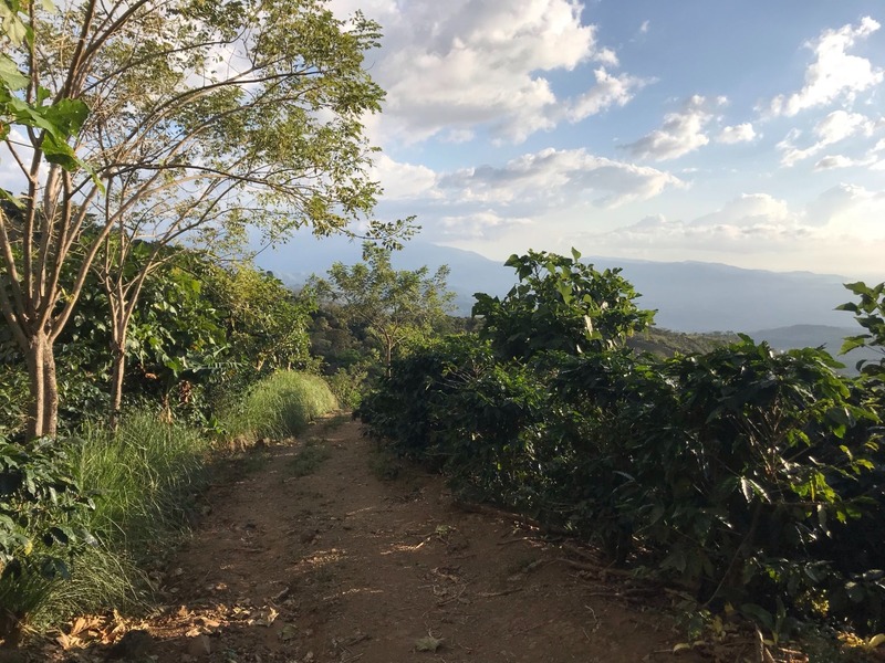 0 bed Land For Sale in San Ramon, Alajuela - 1
